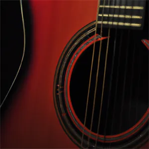 Guitar Pluk Nr. 2 — Coetzee en Ceronio