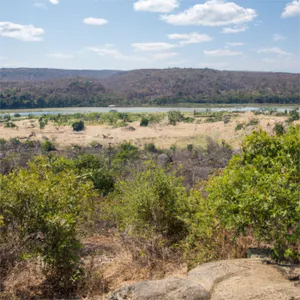 Zimbabwe — Fizzy Ftr Senyaka