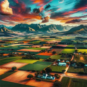 Manie Bodenstein Is Terug album cover