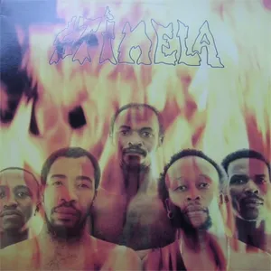Fire, Passion, Ecstacy — Stimela