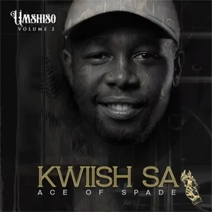Umshiso Vol 2 — Kwiish SA