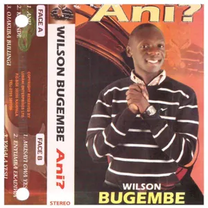 Ani album cover