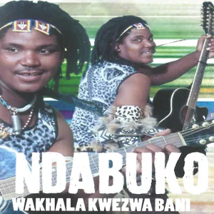 Wakhala Kwezwa Bani album cover