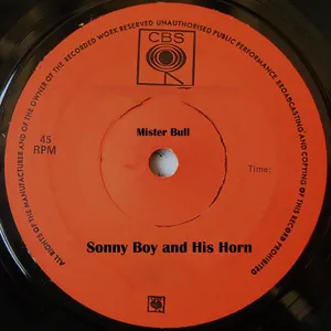 Mister Bull — Sonny Boy and His Horn