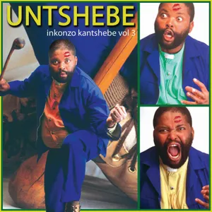 Inkonzo Ka Ntshebe, Vol. 3 album cover