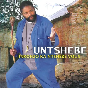 Inkonzo Ka Ntshebe, Vol. 5 album cover