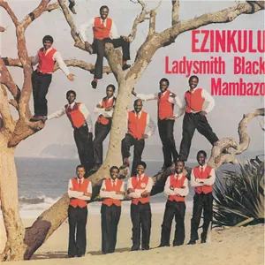Ezinkulu — Various Artists