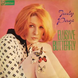 Elusive Butterfly album cover