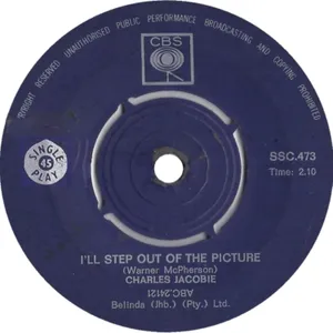 I'll Step Out of the Picture album cover