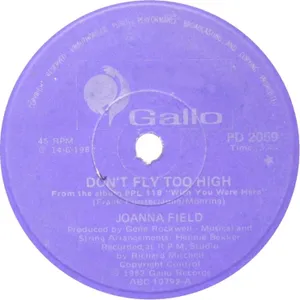 Don't Fly Too High album cover
