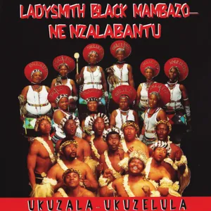 Ukuzala-Ukuzelula album cover