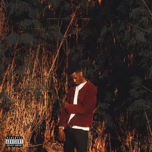 MOZART Single album cover