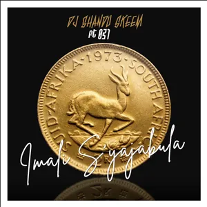 Imali S Yajabula Single — DJ Shandu Skeem