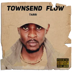 Townsend Flow Single album cover