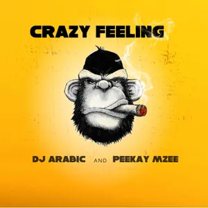Crazy Feeling — Dj Arabic