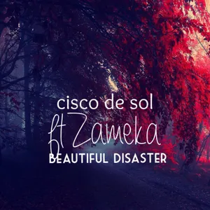 Beautiful Disaster — Cisco De Sol feat. Zameka
