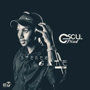Stereo Gate album cover