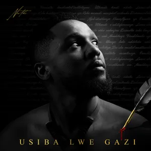 Usiba Lwe Gazi album cover
