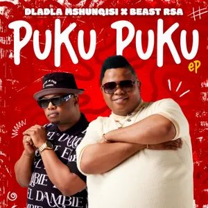 Puku Puku album cover