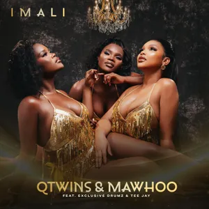 Imali — Tee Jay and Q Twins and Exclusive Drumz and Mawhoo