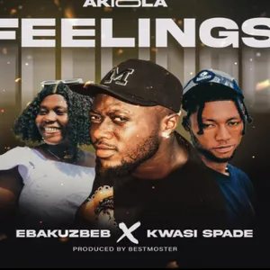 Feelings album cover