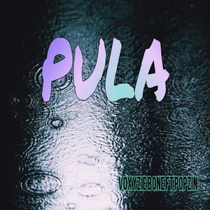 Pula album cover