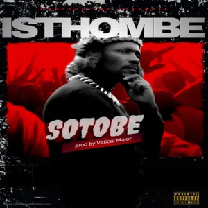 Isithombe album cover