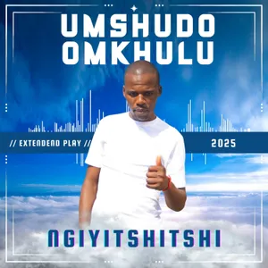 Ngiyitshitshi album cover