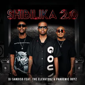 Shibilika 2 0 album cover