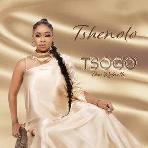 Tsogo - The Rebirth album cover