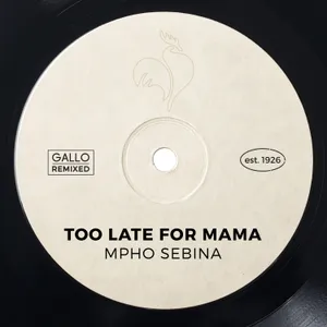 Too Late for Mama — Mpho Sebina