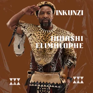 Iy'nkunzi album cover