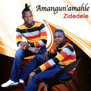 Zidedele — Amangun'amahle