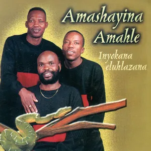 Inyokana Eluhlalzana album cover