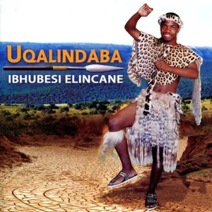 Ibhubesi Elincane — Qalindaba