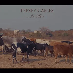 In Time Single — Peezey Cables