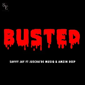 Busted — Savvy Jay