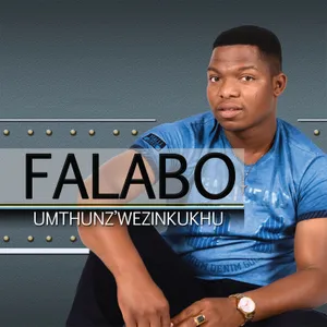 Umthunz'wezinkukhu album cover