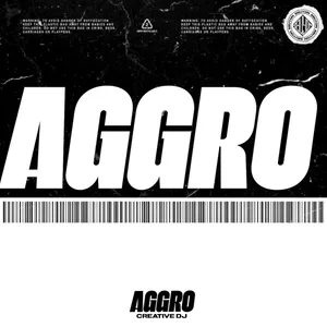 AGGRO album cover