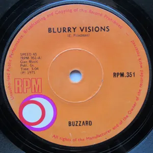 Blurry Visions — Buzzard